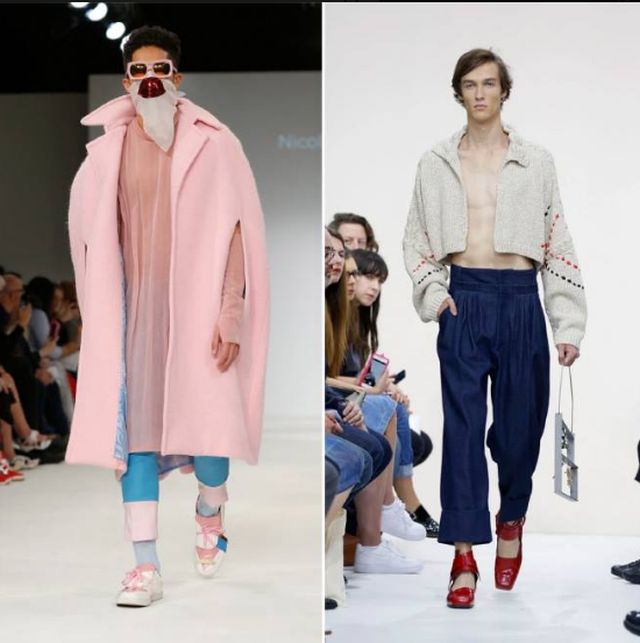 Rozul si bolerourile