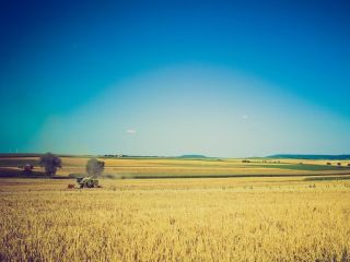 Ziua in care nu se lucreaza