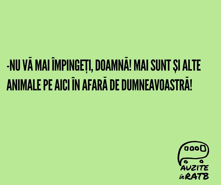 Auzita de Andreea in 66