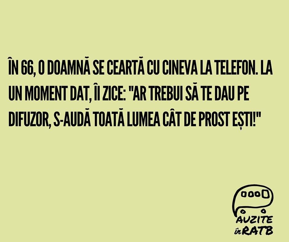 Auzita de Mihai in 66