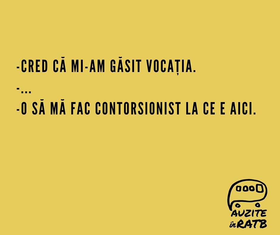 Auzita de Bogdan in 41