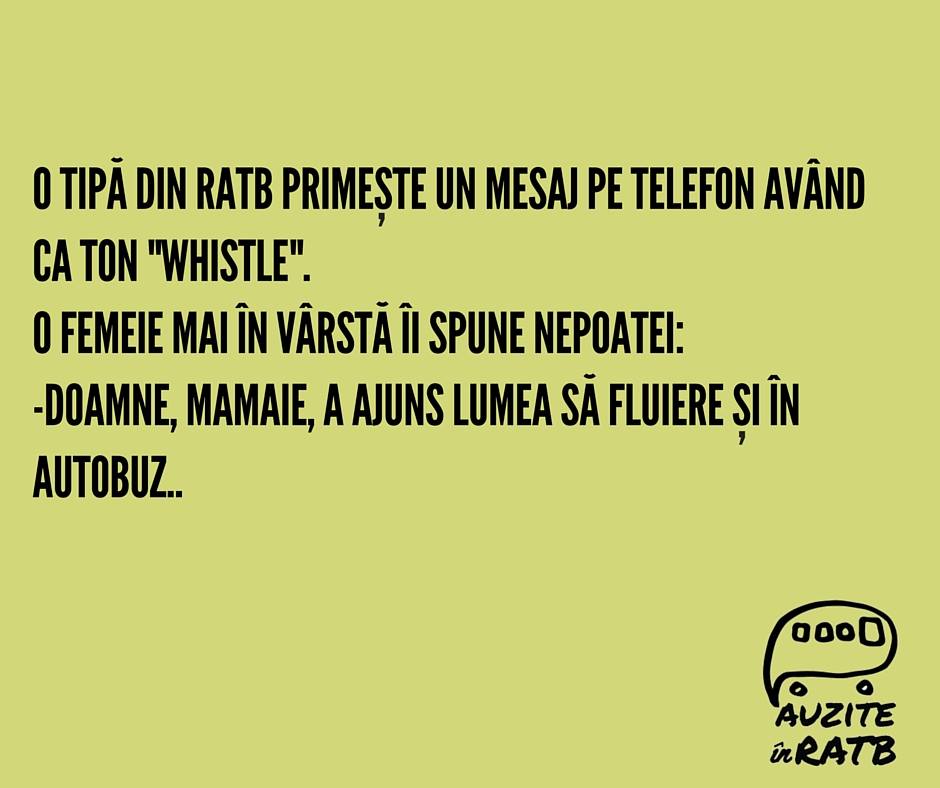 Auzita de Madalin in 301