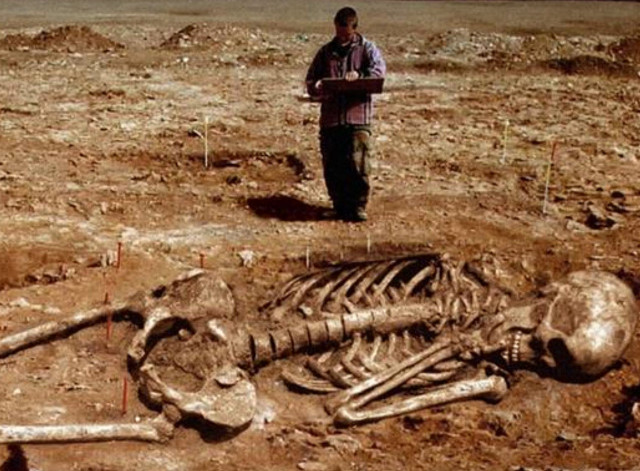 Descoperire care starneste interesul