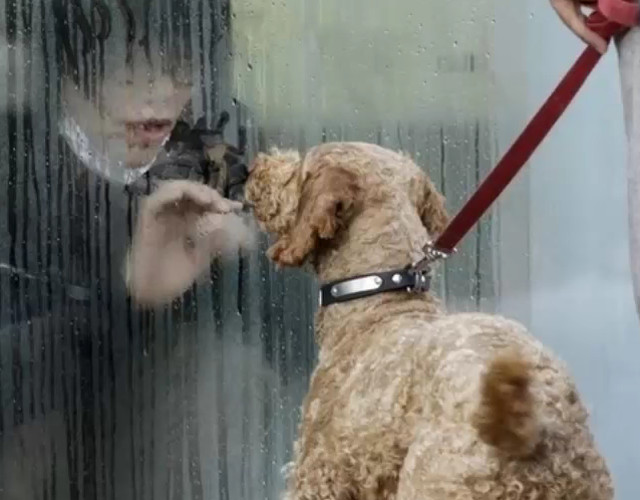 Prezenta celui mai bun prieten valoreaza mai mult decat o mie de cuvinte