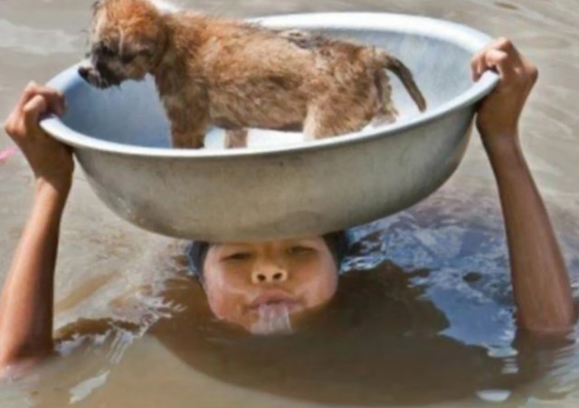 Incredibil, dar adevarat! Copilul care pune viata prietenului sau cel mai bun mai presus de a sa