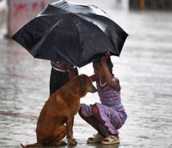 Uneori gesturile marunte fac diferenta!