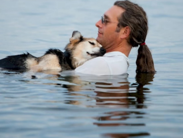 Protectie, salvare, iubire