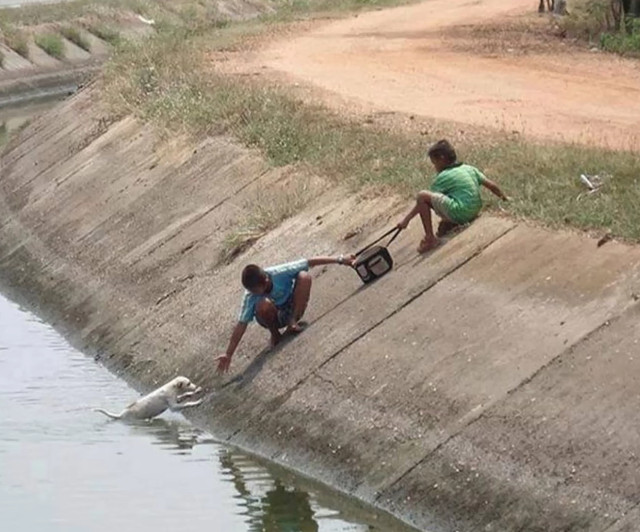 Copiii demonstreaza din nou cat de mult conteaza compasiunea!