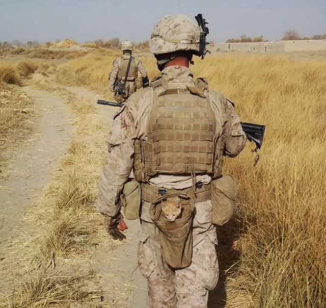 Fata umana a razboiului