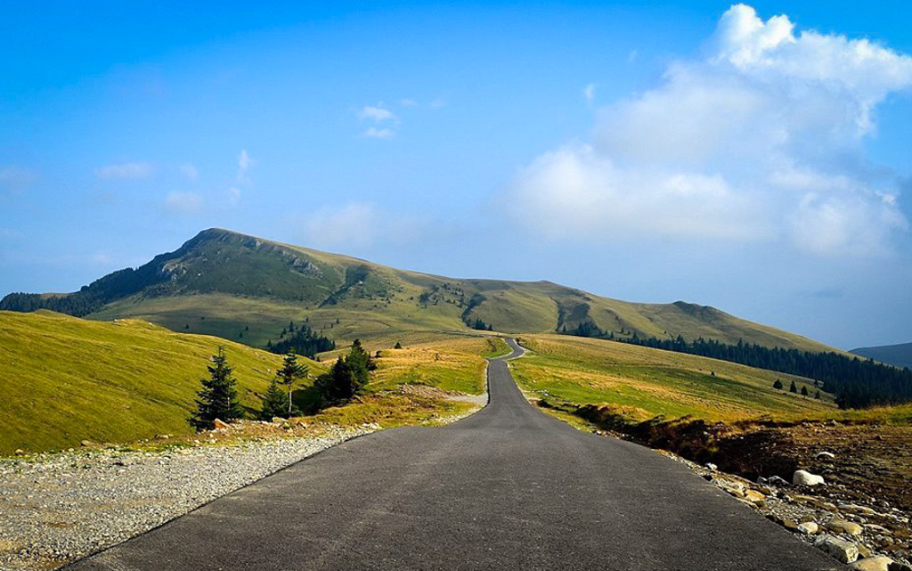 8. Soseaua Transbucegi