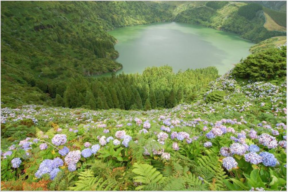 2. Fayal, Portugalia