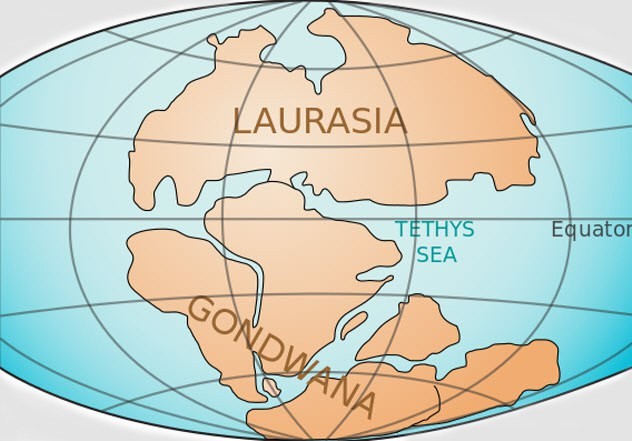 6. Vechiul continent Gondwana