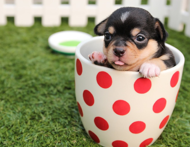 Unde e mai bine decat acolo unde te simti in largul tau?