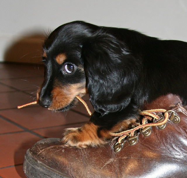 Nu e bine, dar nu ma pot abtine!