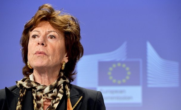 NEELIE KROES, DETINATOAREA UNEI SOCIETATI OFFSHORE NEDECLARATE