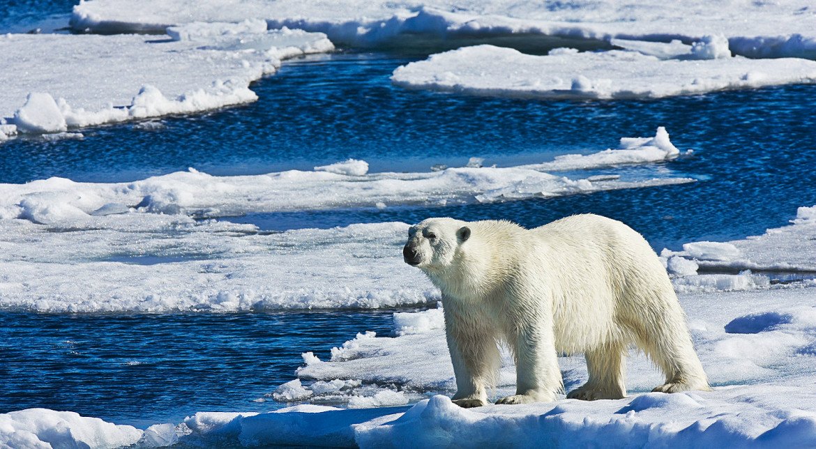 2. Efectele incalzirii globale asupra ghetarilor