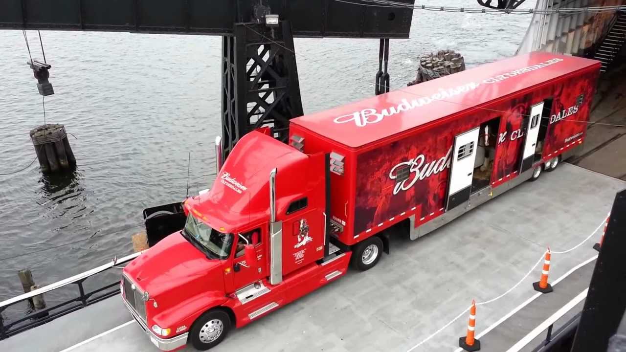 8. Publicitate mincinoasa