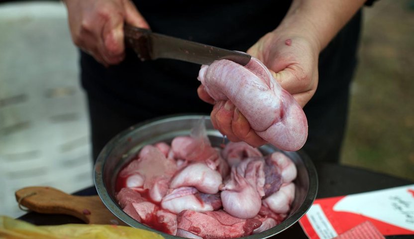 9. Festivalul anual al testiculelor