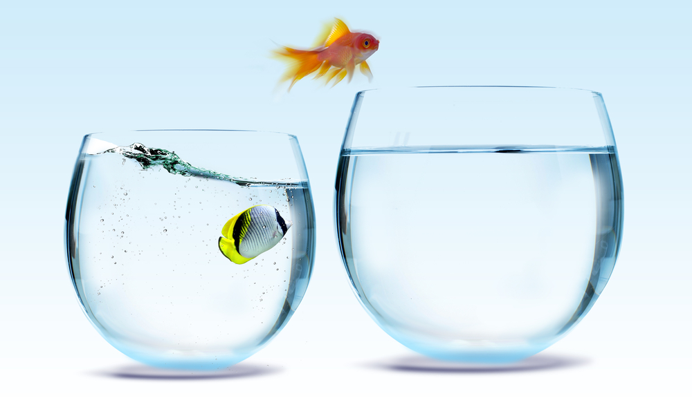 6. Teama de schimbare