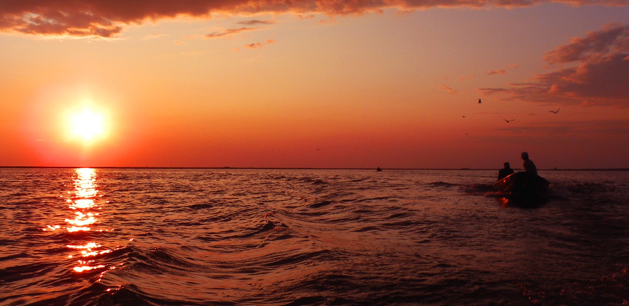 Valuri ca undele luminii