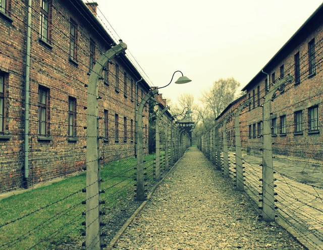Iadul pe Pamant: Lagarul de concentrare Auschwitz, Polonia