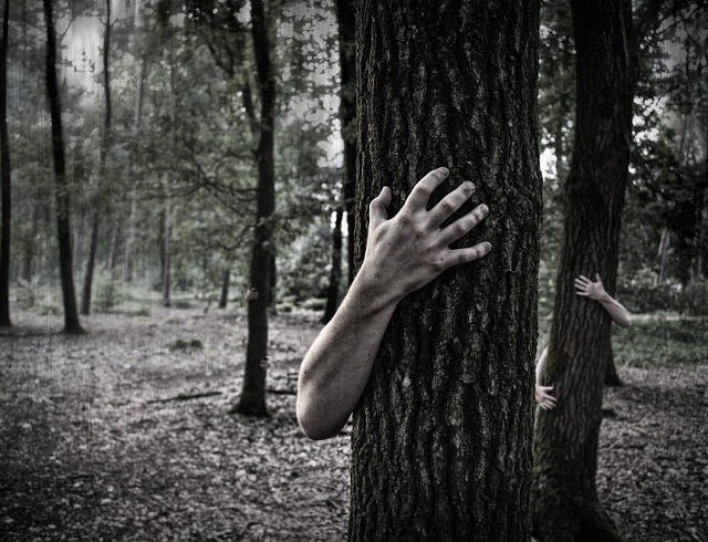 Zona unde spiritele nu isi gasesc linistea: Aokigahara, Japonia