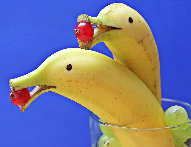 Cei mai simpatici delfini!