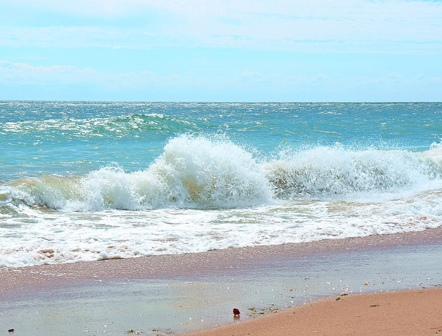 Nivelul de salinitate, scazut