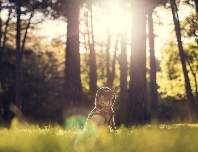 Inca nu este suficient de cald!