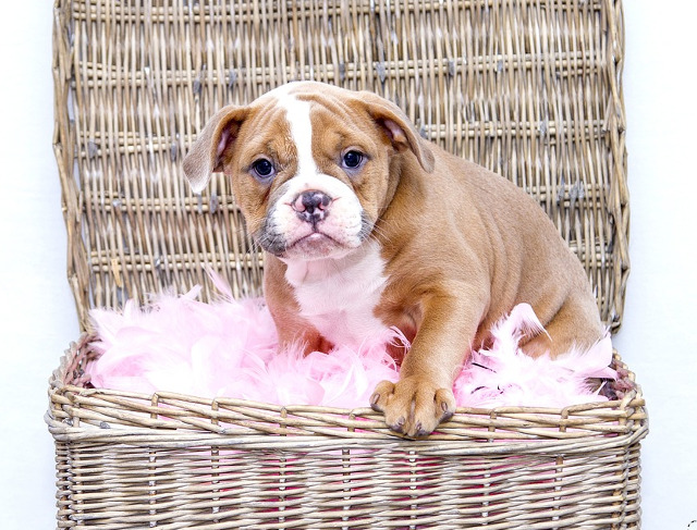 Unde e mai bine decat acolo unde te simti in largul tau?