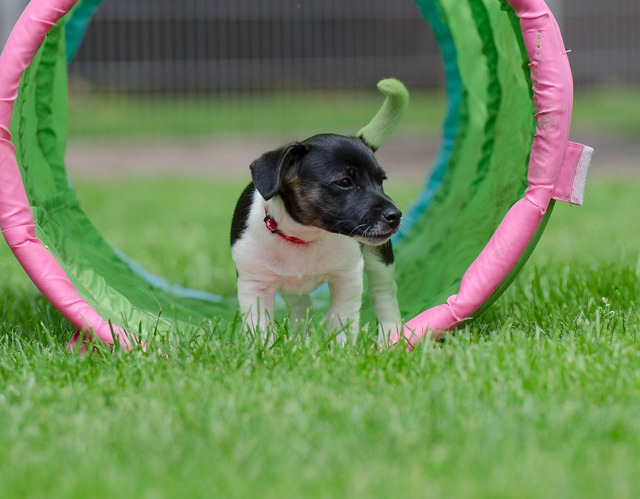 Priveste cu atentie!