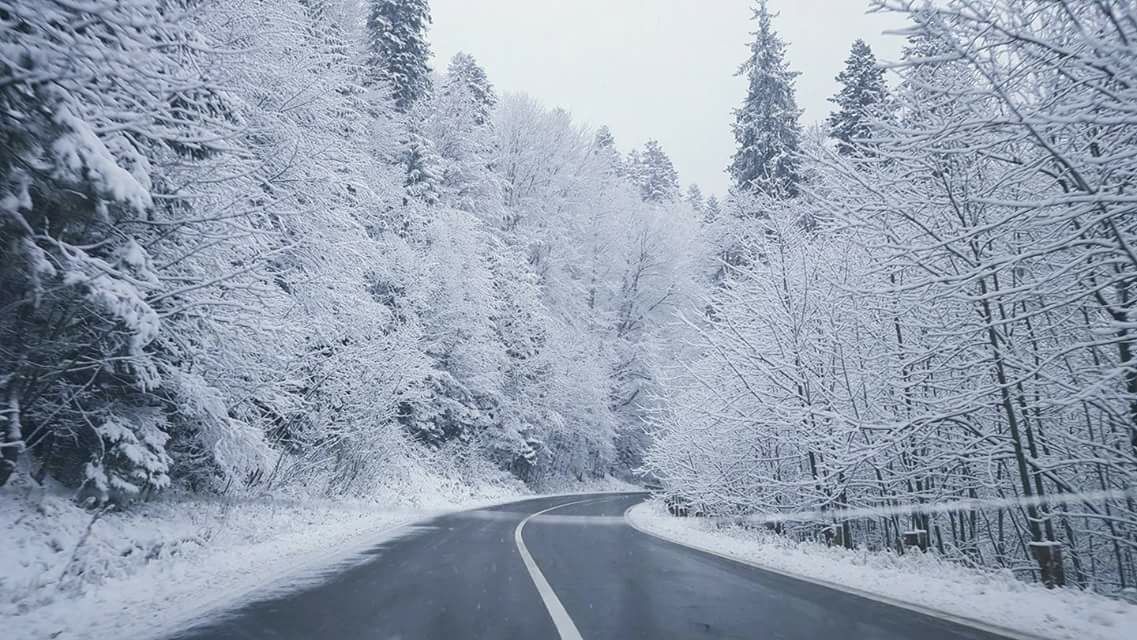 Vatra Dornei, Suceava