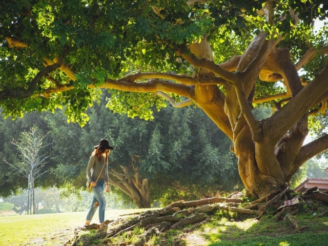 Te ajuta sa pastrezi o doza de mister