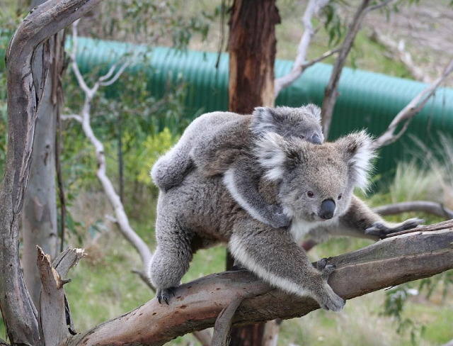 Mereu in cautare de aventuri noi...