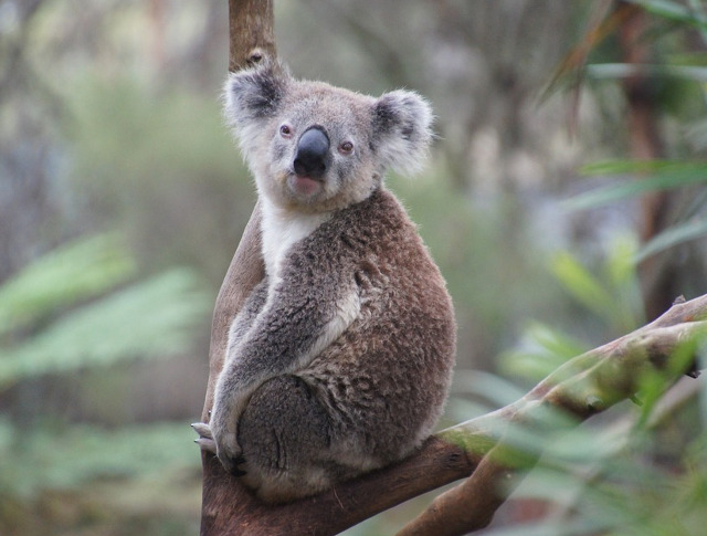 ...si surprinsi de ceea ce descopera!