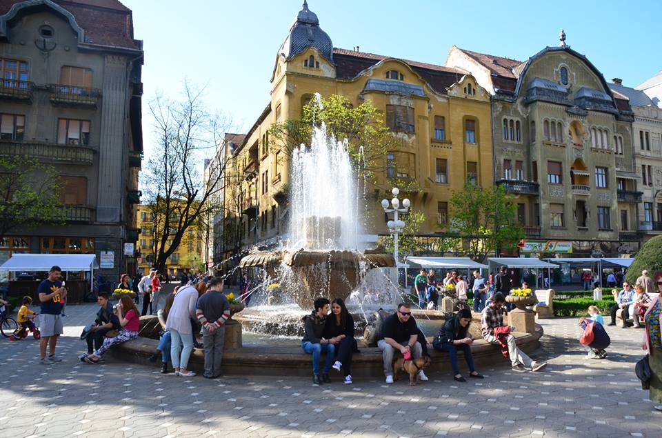 Judetul Timis - 2.240 lei