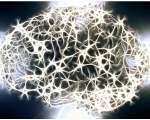 Afectiuni ale sistemului nervos