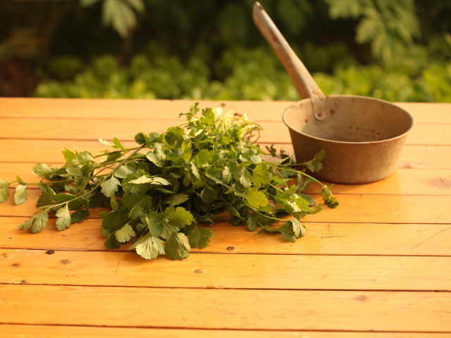 Apa cu citrice si coriandru