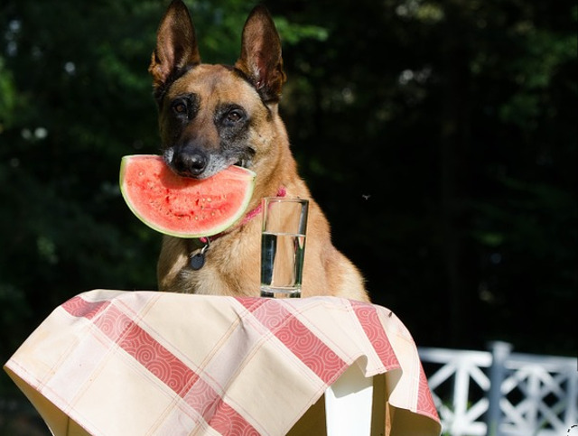 Reusesc sa te binedispuna chiar si atunci cand esti suparat