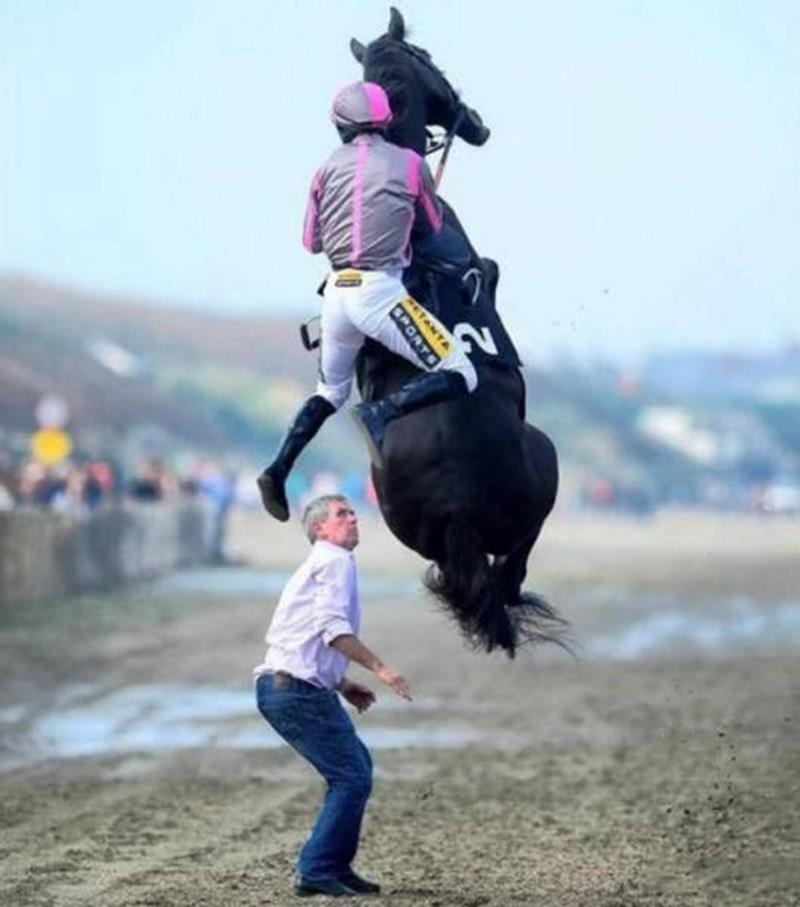 10. Pegas, calul zburator!