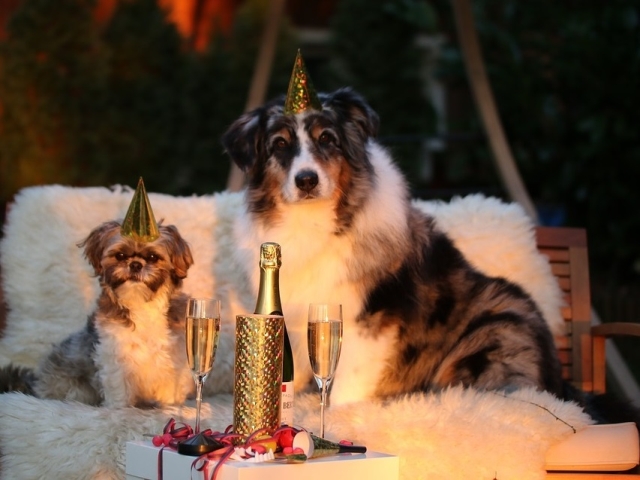 Cu un pahar de sampanie