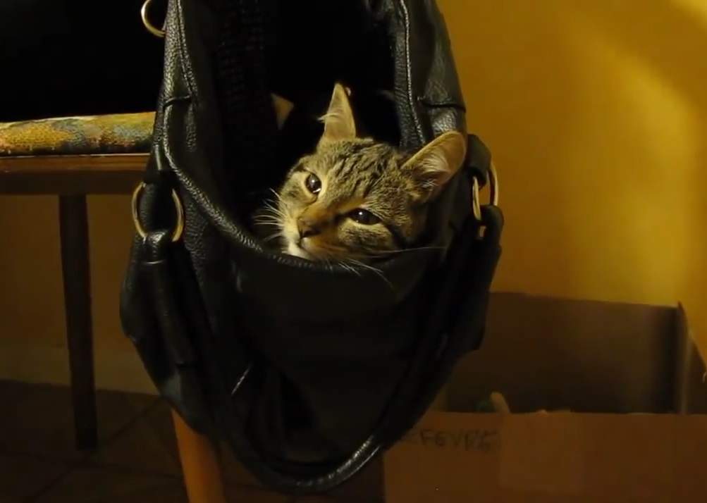 Tii prea multe lucruri in geanta