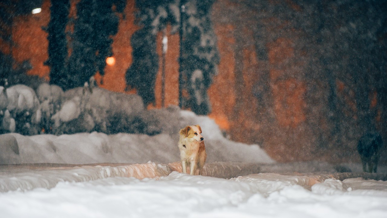 Iarna lui 2017 in Bucuresti