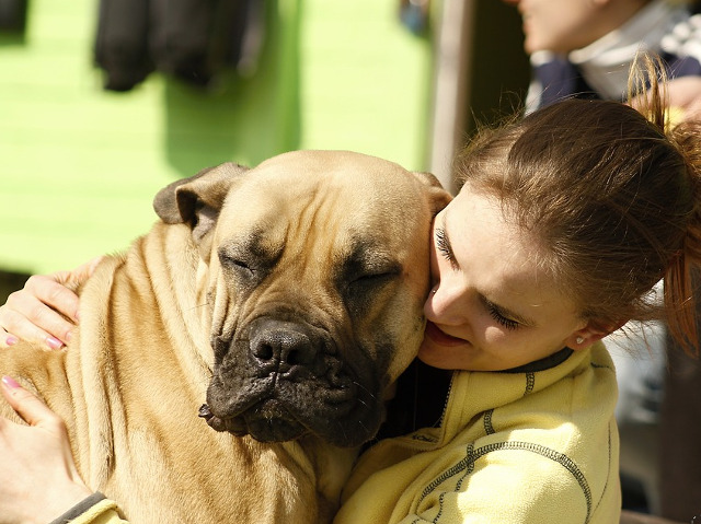 Nu degeaba cainii sunt considerati cei mai buni prieteni ai omului...