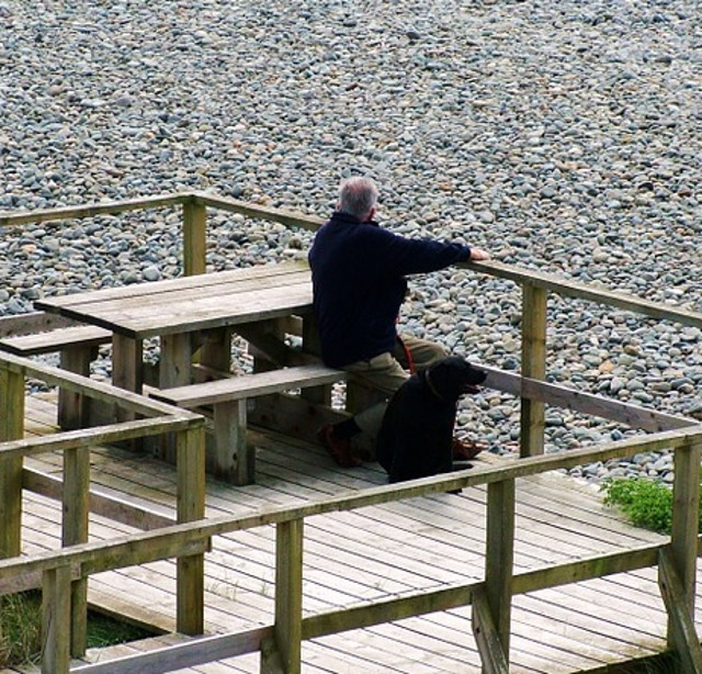 Cainii, paznici fideli