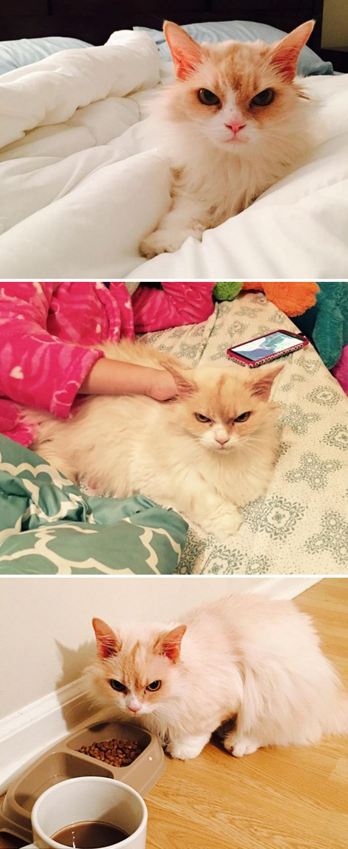 O privire care ar putea ingheta orice... muritor