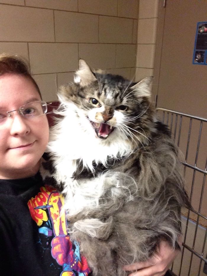 "Nu te apropia de mine!"