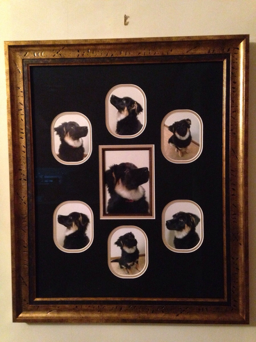 "Cand m-am mutat de acasa, parintii m-au inlocuit imediat"