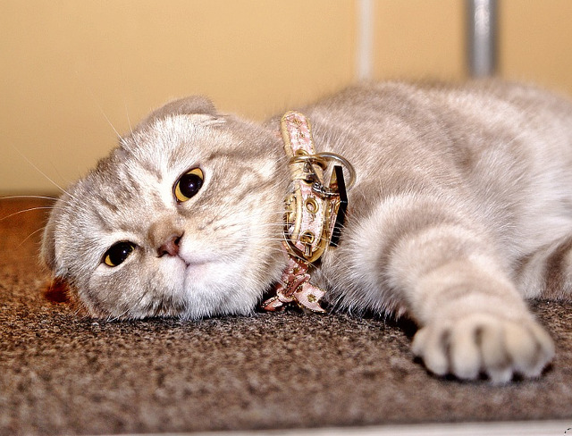 Odihna si relaxarea, pe primul plan