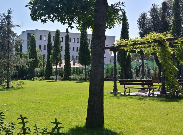 Interes crescut pentru Romania